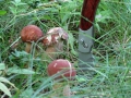 IMG_0362_700